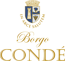 Borgo Condé Wine Resort